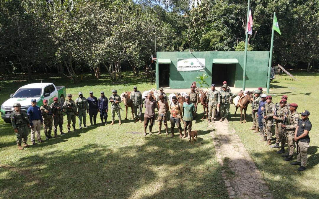 Medio Ambiente, SENPA y Ejército Nacional desmantelan sembradíos ilegales en Los Haitises