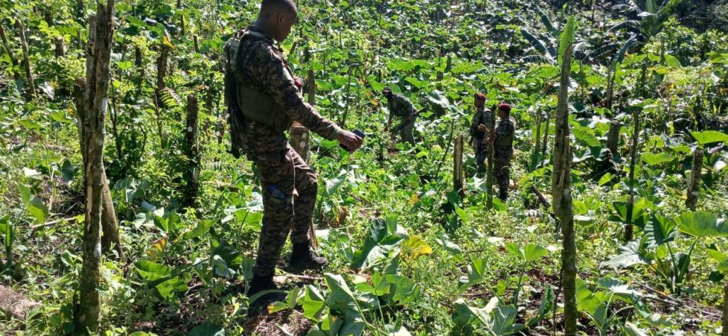 WhatsApp Image 2025 12 11 at 12.43.03 PM (1)