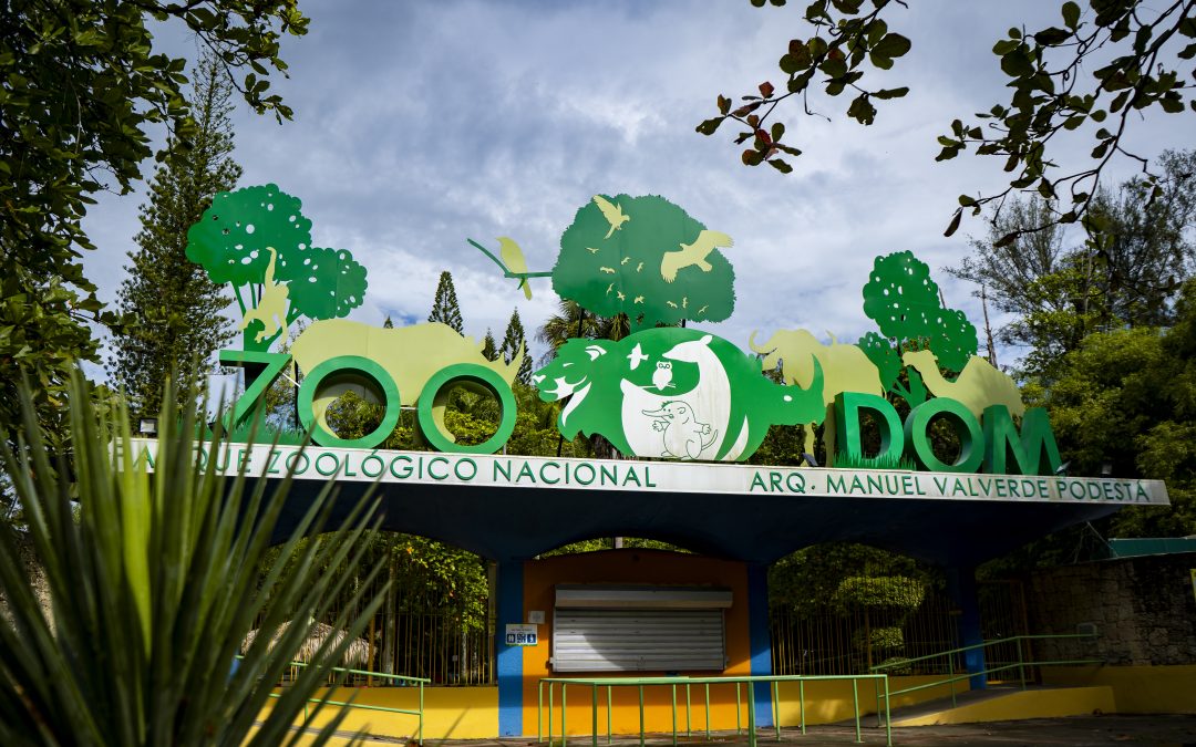 Ministerio de Medio Ambiente autoriza introducción de dos especies exóticas al Zoológico Nacional