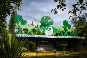 Ministerio de Medio Ambiente autoriza introducción de dos especies exóticas al Zoológico Nacional