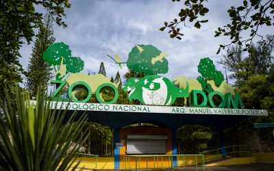 Ministerio de Medio Ambiente autoriza introducción de dos especies exóticas al Zoológico Nacional