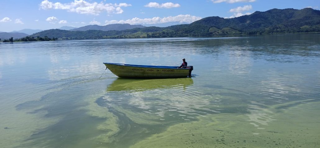 f57d932d 62ae 4e32 9cd5 bbbeafe5be2b