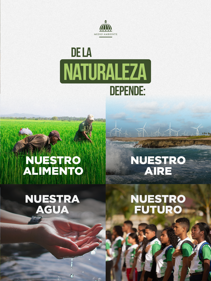 070225 RD X LA NATURALEZA V2 02