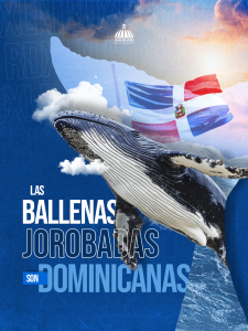 Medio Ambiente da apertura a temporada de avistamiento de ballenas jorobadas 2026 con firma de un acuerdo de gestión
