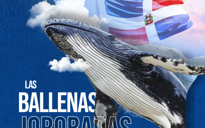 Medio Ambiente da apertura a temporada de avistamiento de ballenas jorobadas 2026 con firma de un acuerdo de gestión