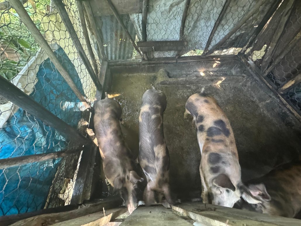 WhatsApp Image 2026 01 14 at 2.18.10 PM