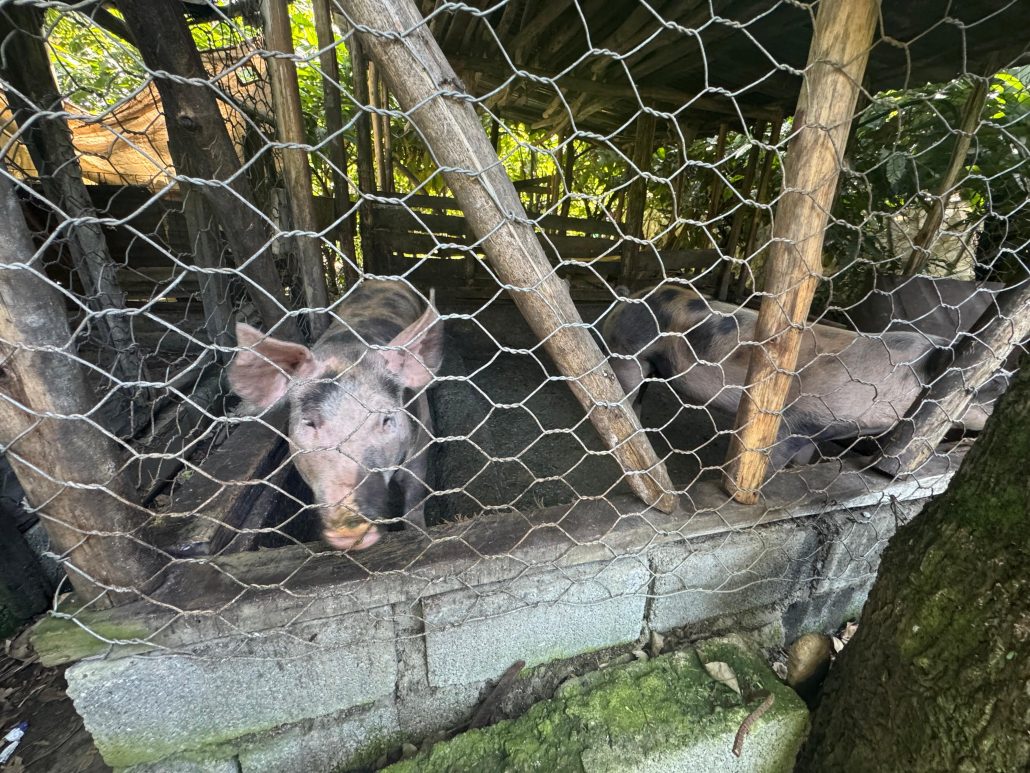 WhatsApp Image 2026 01 14 at 4.23.19 PM