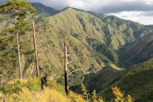 Medio Ambiente anuncia apertura de una nueva ruta ecoturística de presa Palomino