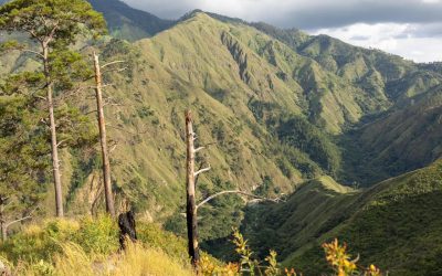 Medio Ambiente anuncia apertura de una nueva ruta ecoturística de presa Palomino