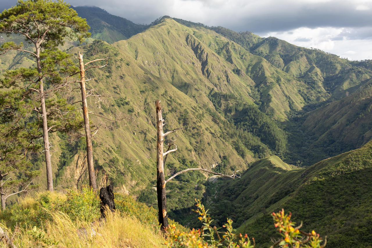 WhatsApp Image 2026 01 19 at 9.38.28 AM