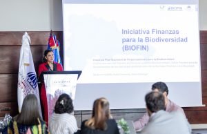 Medio Ambiente y PNUD impulsan la conformación del Comité Asesor de Finanzas para la Biodiversidad en la República Dominicana