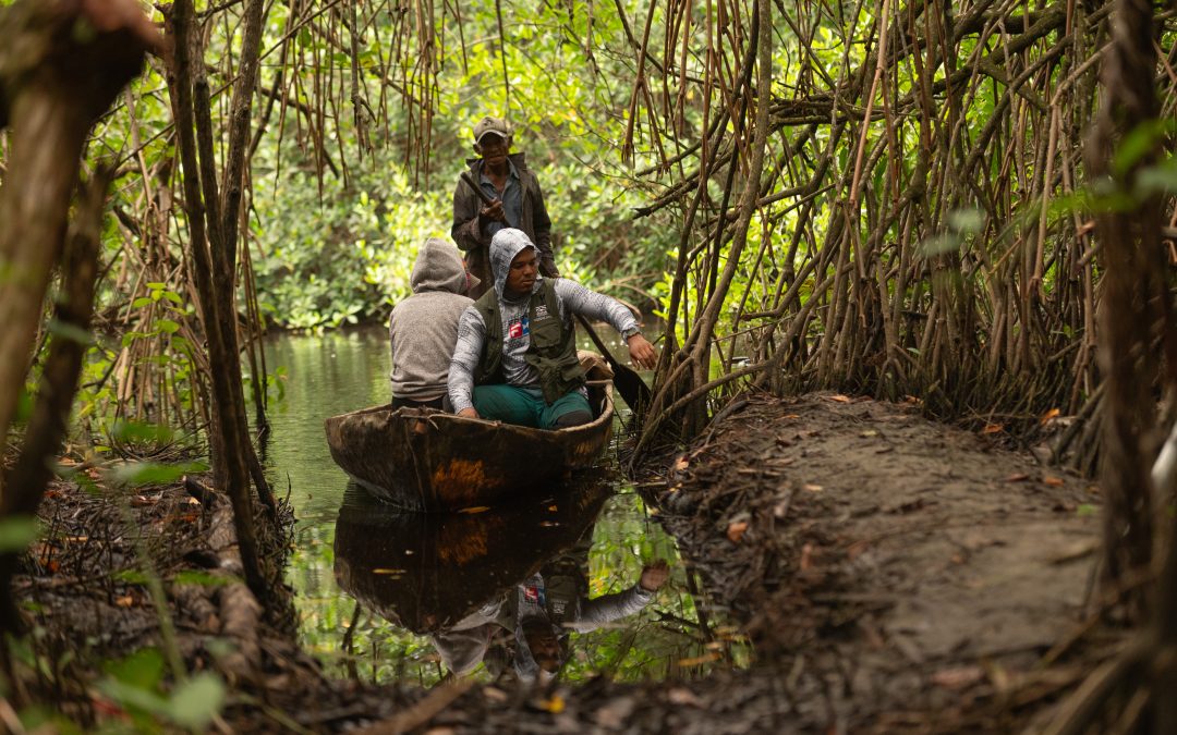 Día Internacional de los Humedales: guardianes del agua y la biodiversidad