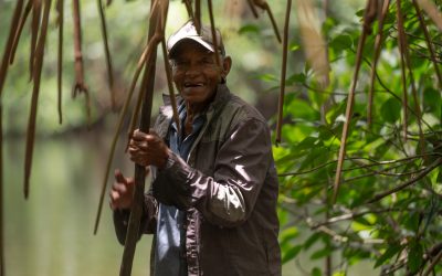 Humedales: el agua que nos sostiene en silencio