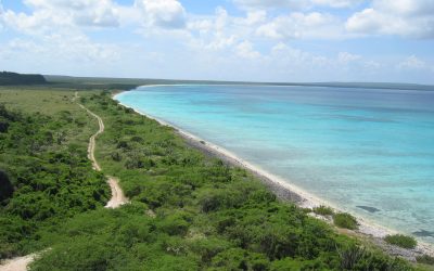 Ministerio de Medio Ambiente rechaza sentencia de amparo y procederá legalmente para su anulación