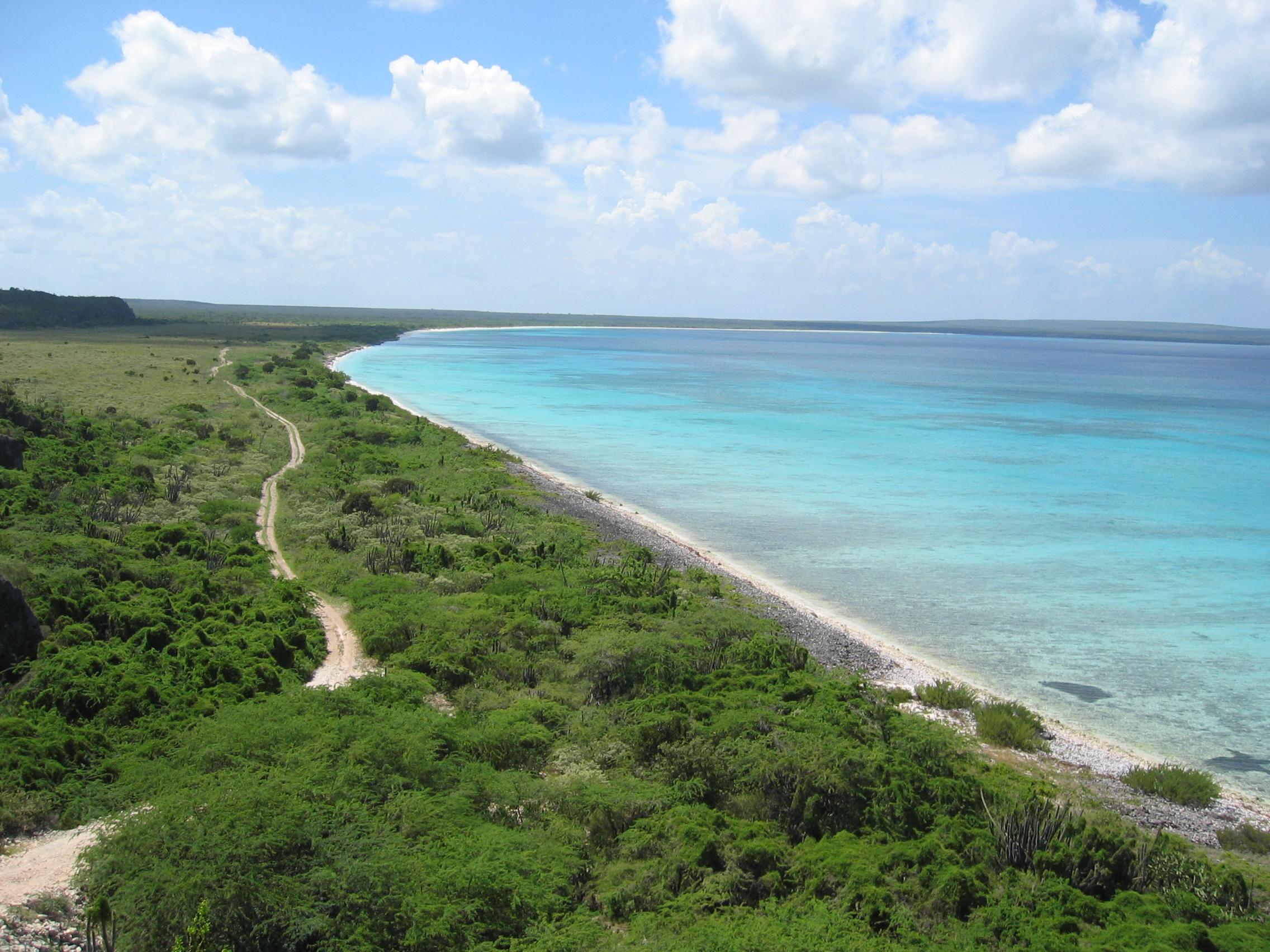 Bahía de las Águilas José Mateo