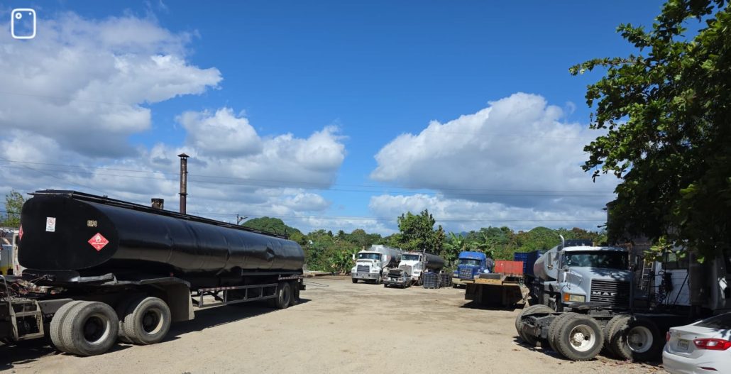 WhatsApp Image 2026 02 11 at 16.31.23