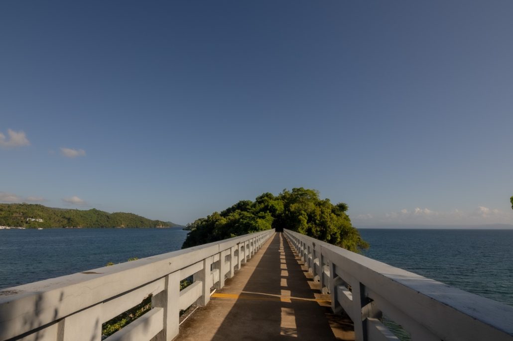 WhatsApp Image 2026 02 18 at 11.06.47 (1)