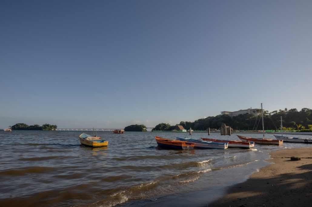 WhatsApp Image 2026 02 18 at 11.06.47 (3)