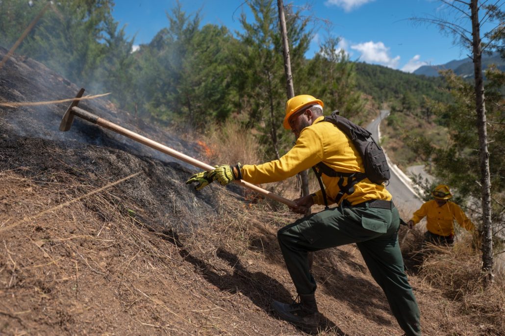 WhatsApp Image 2026 02 21 at 9.10.34 AM