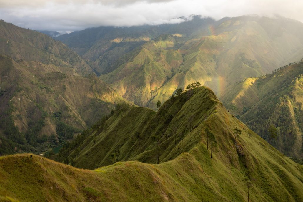 WhatsApp Image 2026 02 21 at 9.10.34 AM (4)