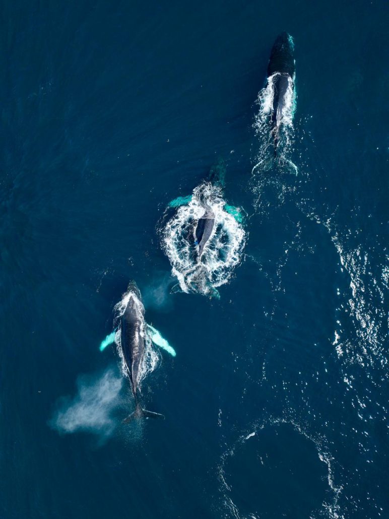 WhatsApp Image 2026 03 02 at 11.45.11 AM