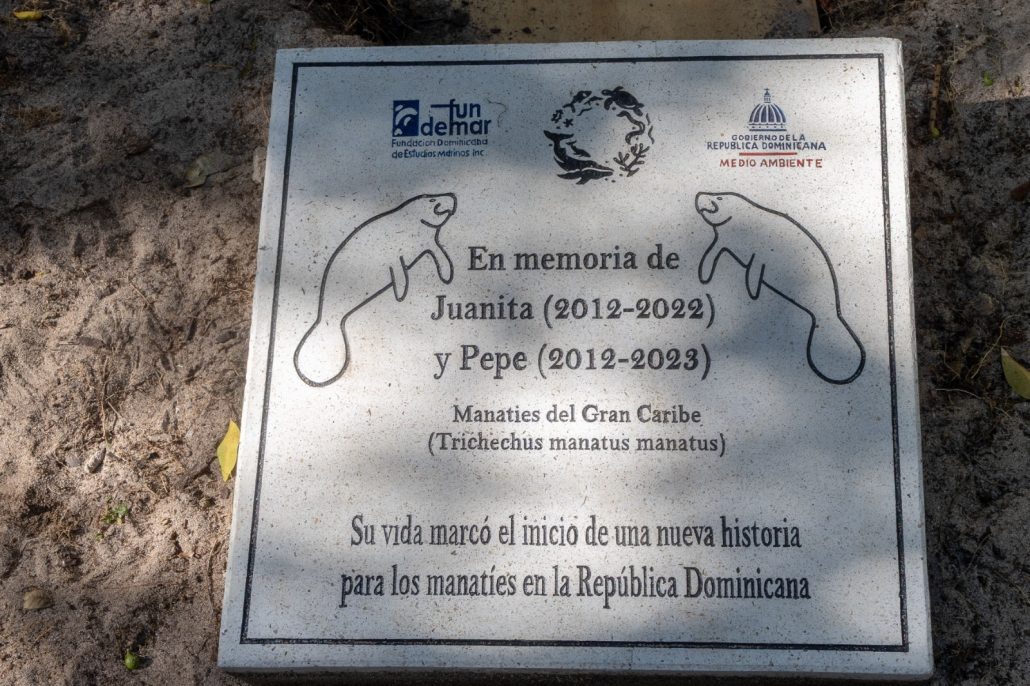 WhatsApp Image 2026 03 16 at 10.52.29 AM (2)