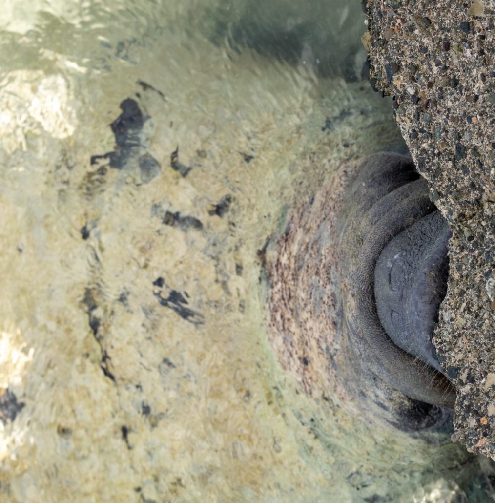 WhatsApp Image 2026 03 16 at 10.52.29 AM