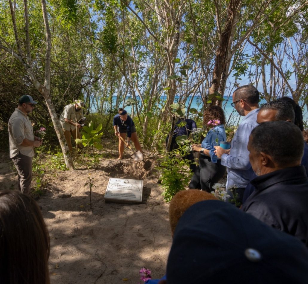 WhatsApp Image 2026 03 16 at 10.52.30 AM