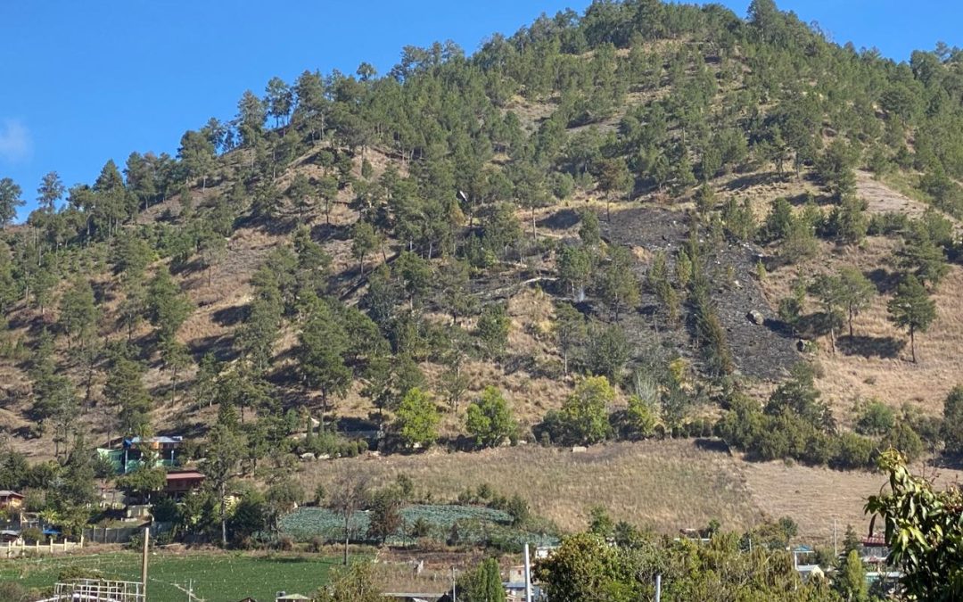 Controlan en su totalidad incendios forestales en Constanza y Jarabacoa