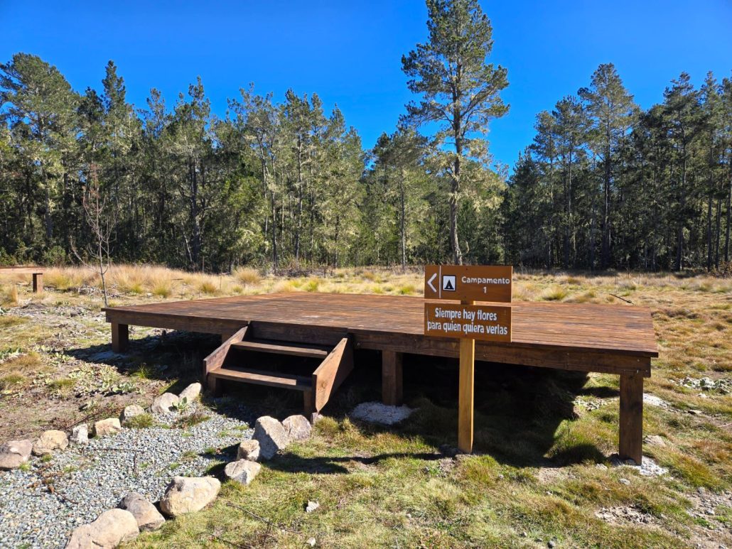 a4e89c50 7e36 484b 9c5b b7da66a893bc